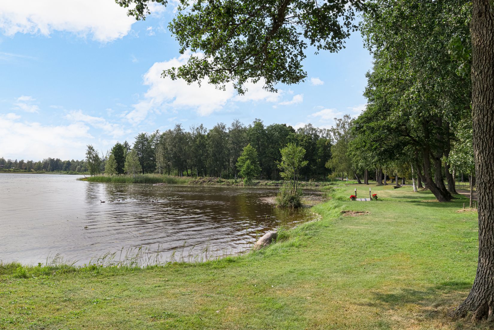 Tomt, Risbergsbo 58, Järlåsa, Uppsala