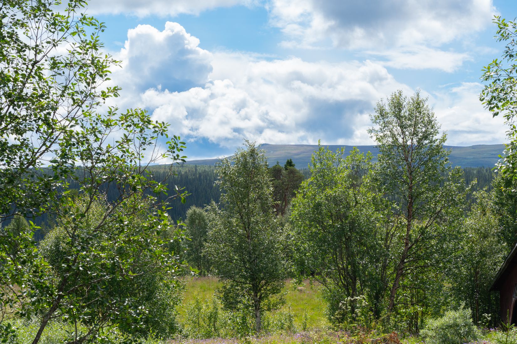 Tomt, Tomt till salu i natursköna Messlingen, Härjedalen