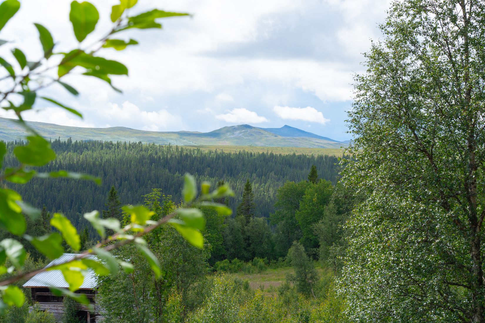 Tomt, Tomt till salu i natursköna Messlingen, Härjedalen
