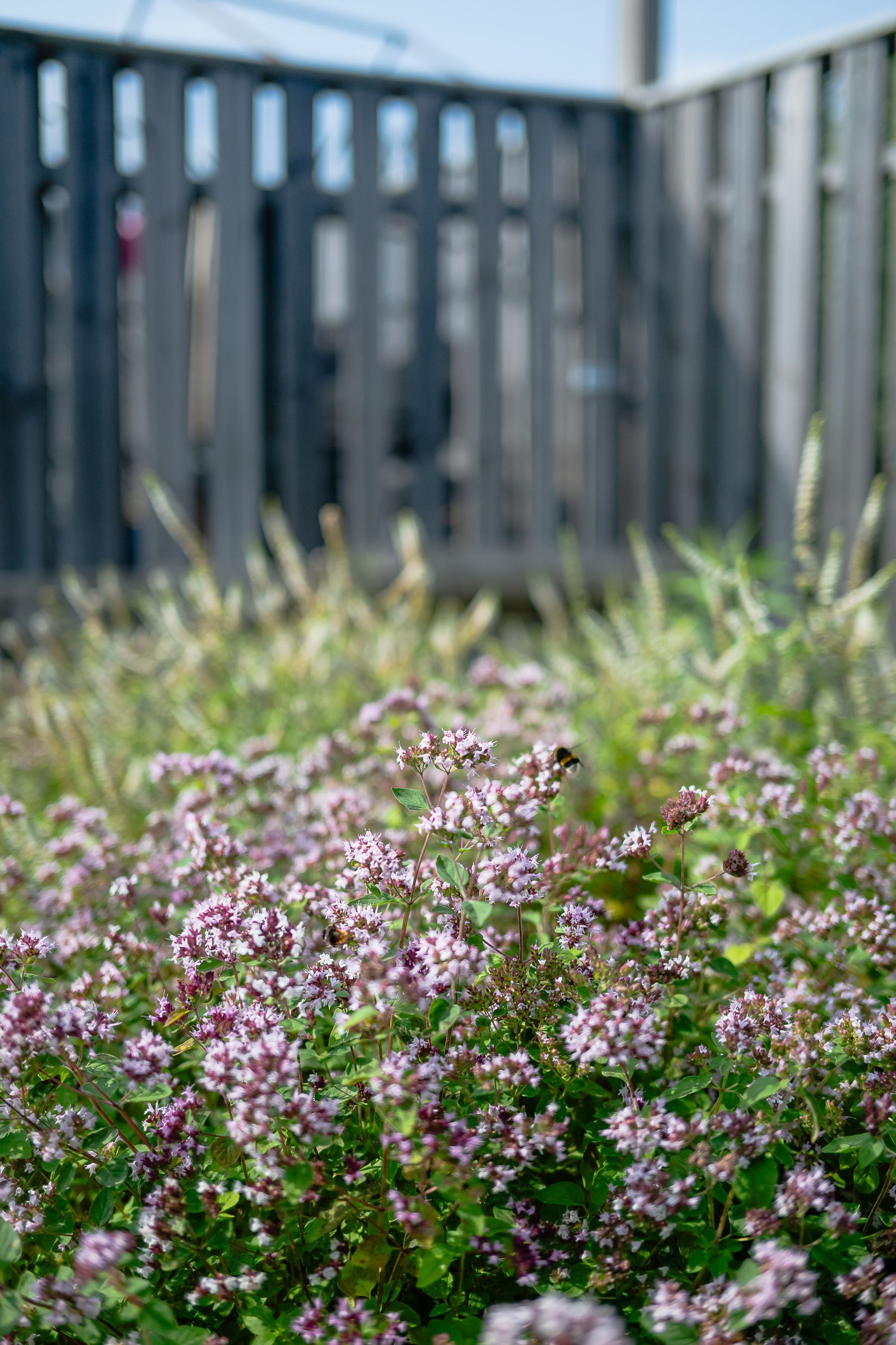 Villa, Parkgatan 14, Malmköping, Flen