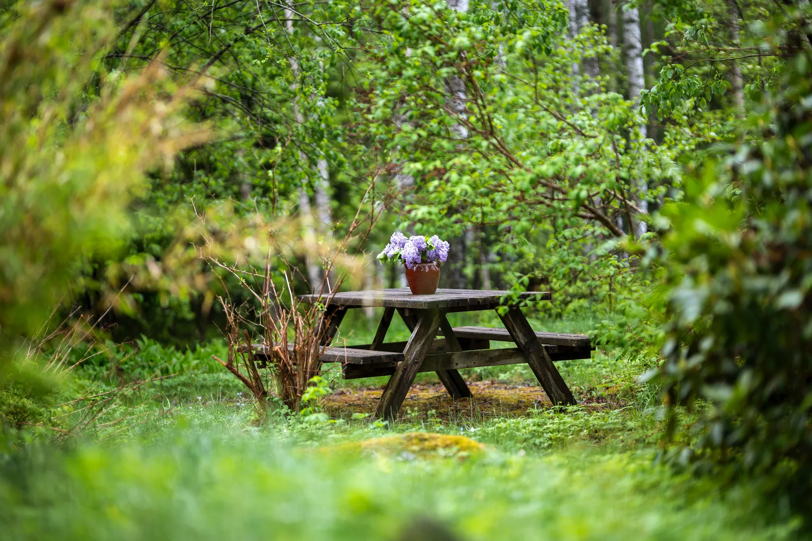 Fritidshus, Skogsbacken 13, Borgarbo, Uppsala