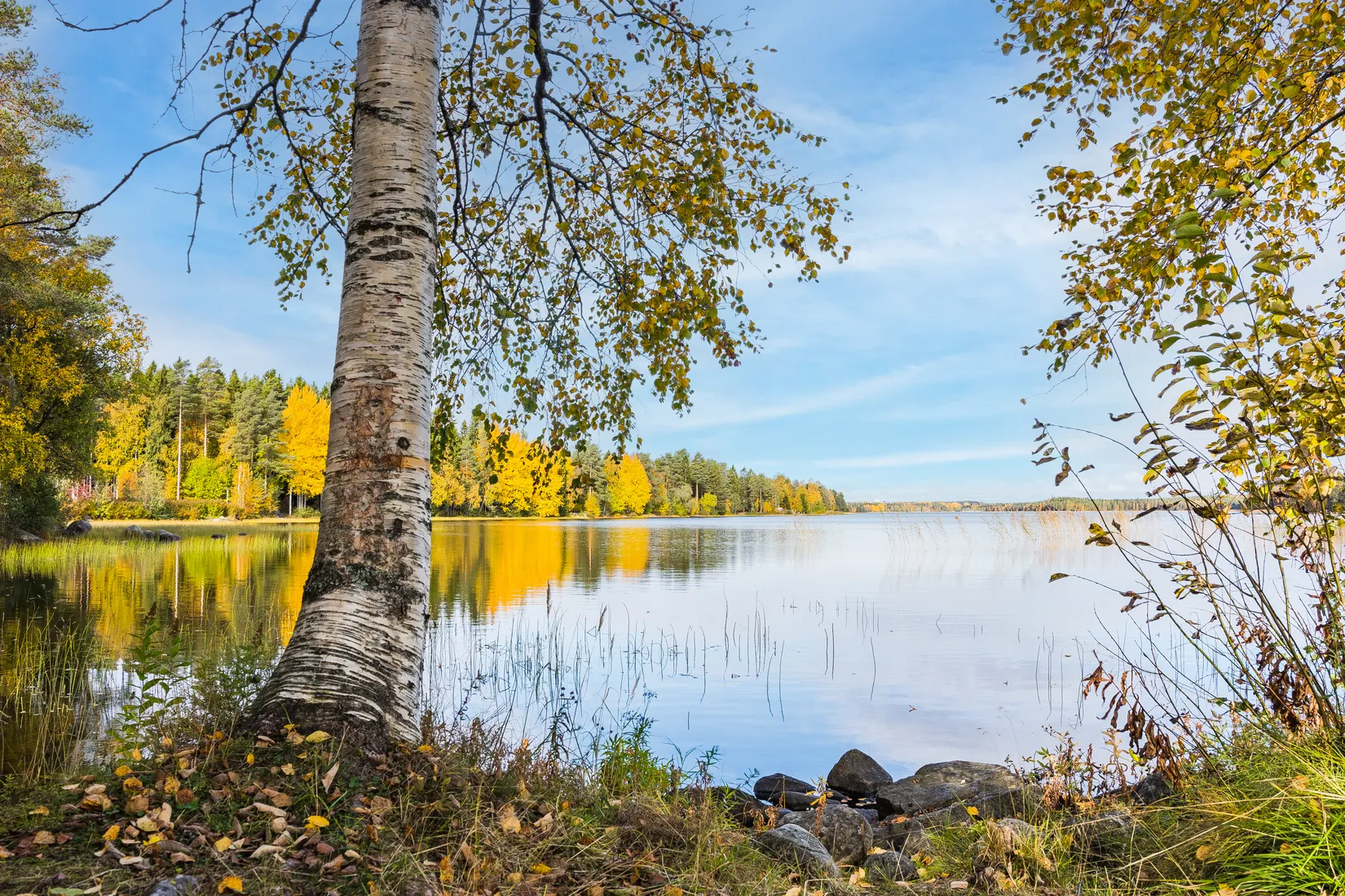 Bostadsrätt, Älvans väg 5, Tomtebo, Umeå