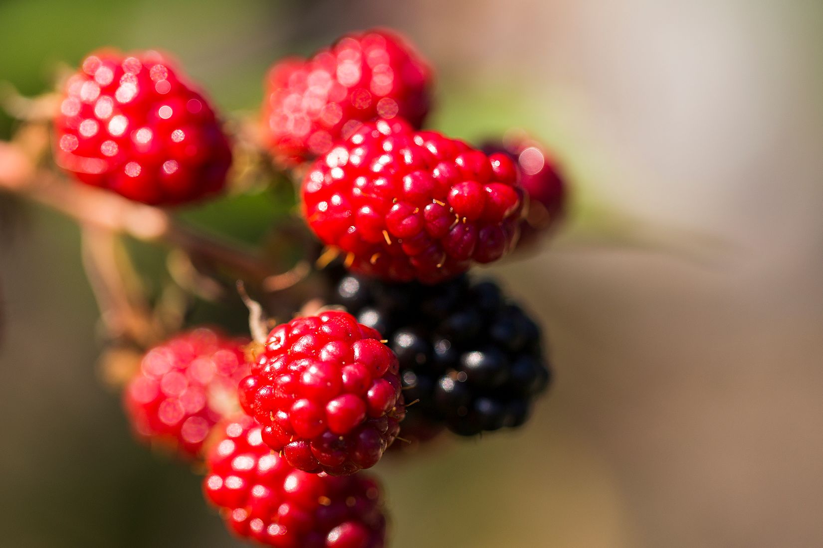 Bostadsrätt, Kvarnbacksvägen 61, 1tr., Bromma / Riksby, Stockholm