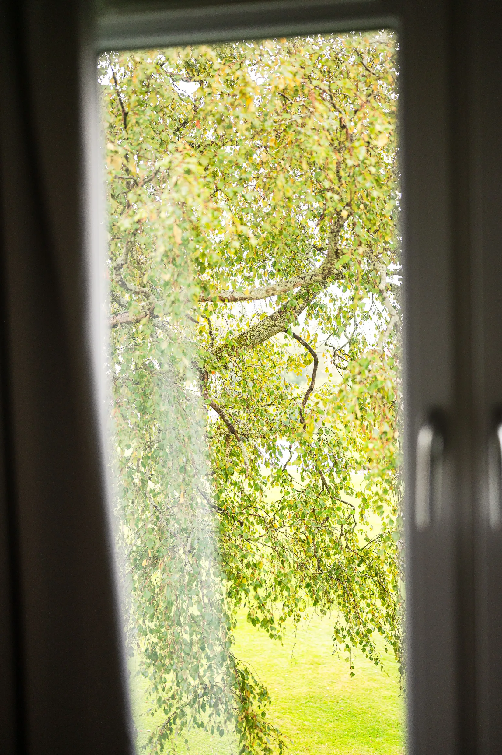 Bostadsrätt, Ulvens gata 20A, Hedvigsborg, Borås