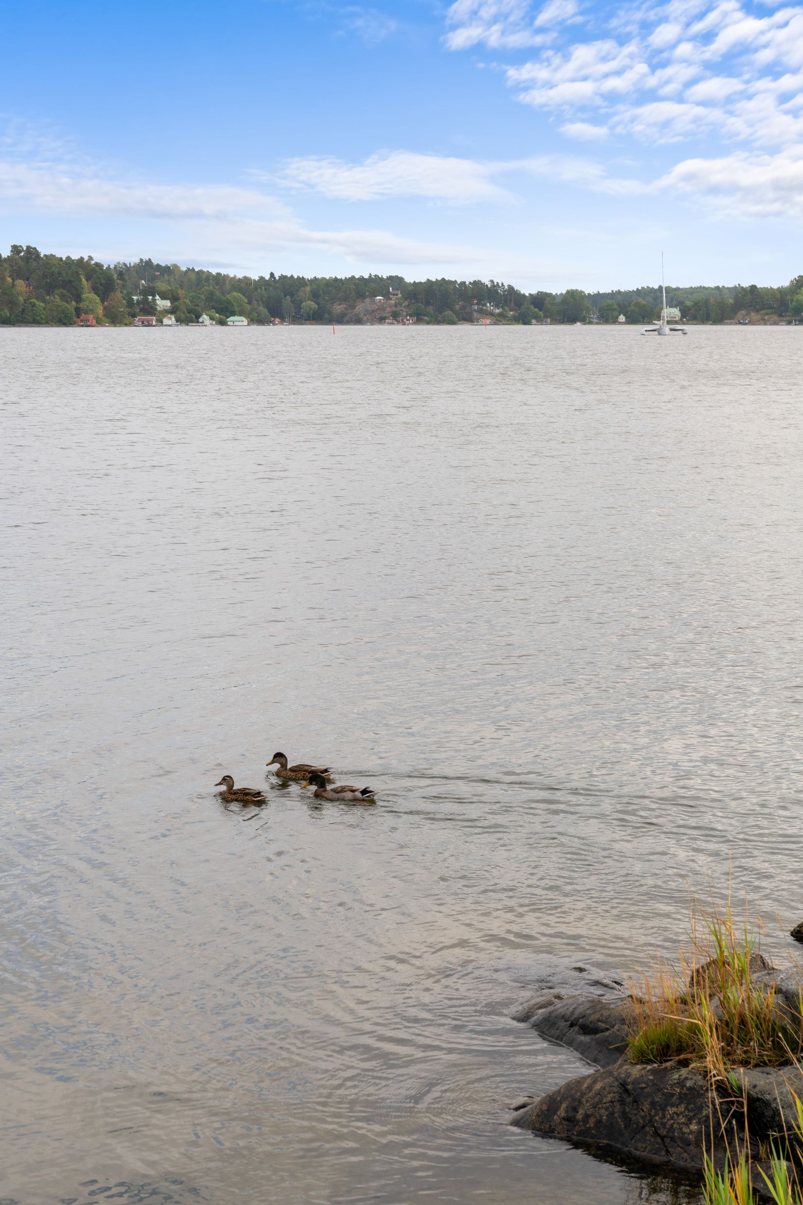 Övrigt, Lilla Askholmen, Edholma / Lilla Askholmen, Vaxholm
