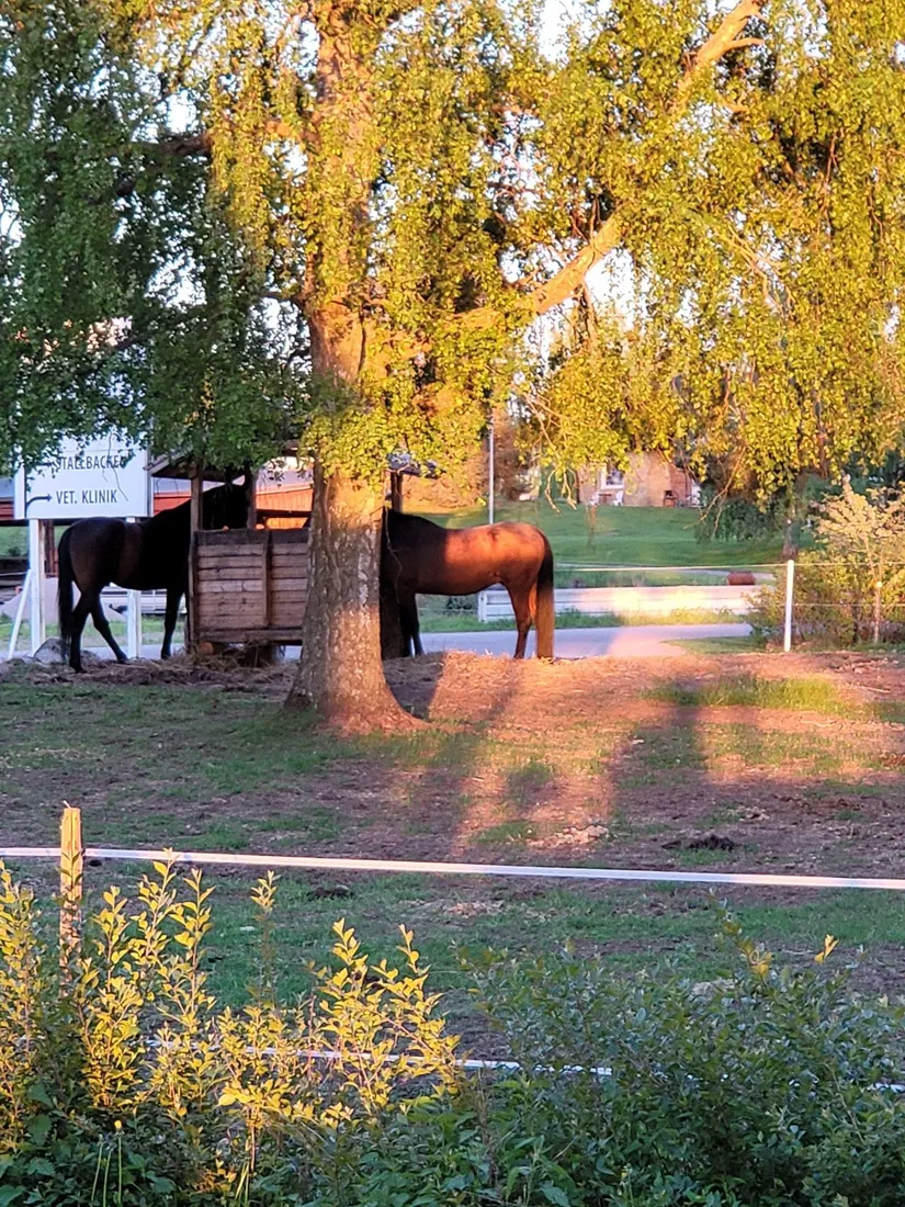 Villa, Sveden 10, Romme, Borlänge