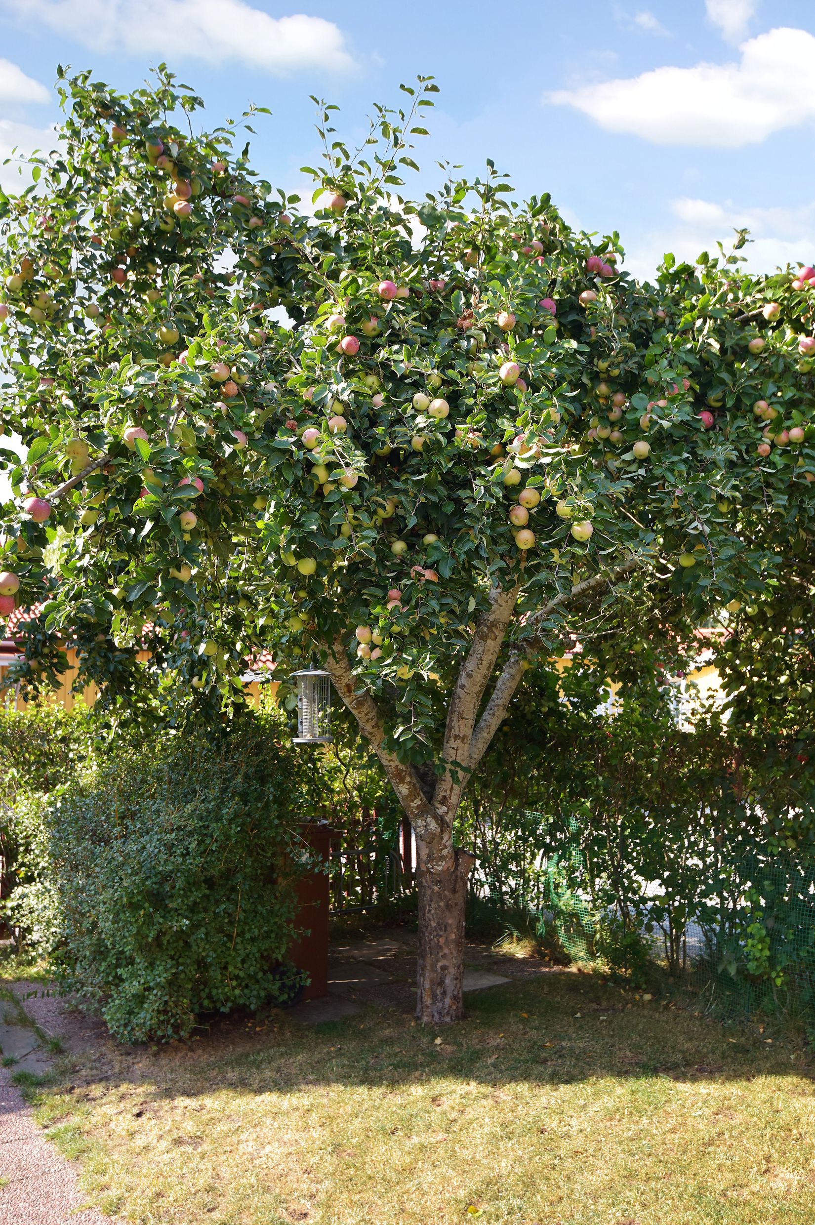 Villa, Radhus, Operettgränd 2, Viksjö - Hummelmora, Järfälla