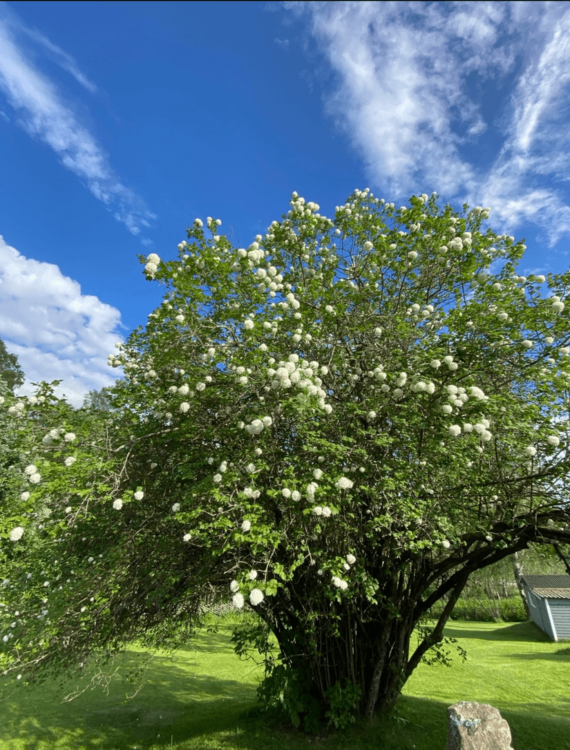 Villa, Väsbyvägen 4, Grums