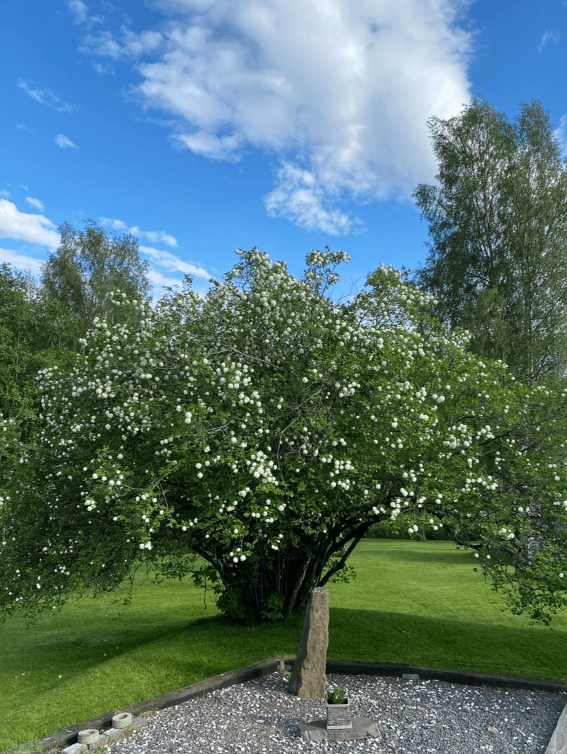 Villa, Väsbyvägen 4, Grums