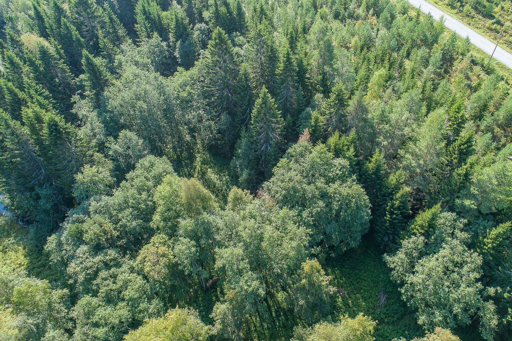Tomt, Kylören, Kylören Norrbyn, Umeå