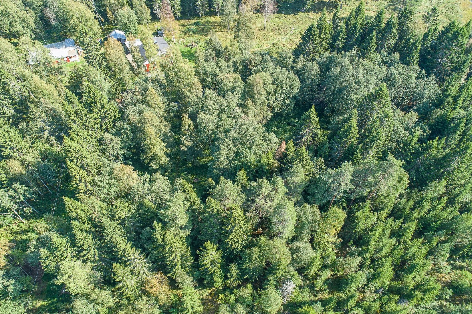 Tomt, Kylören, Kylören Norrbyn, Umeå