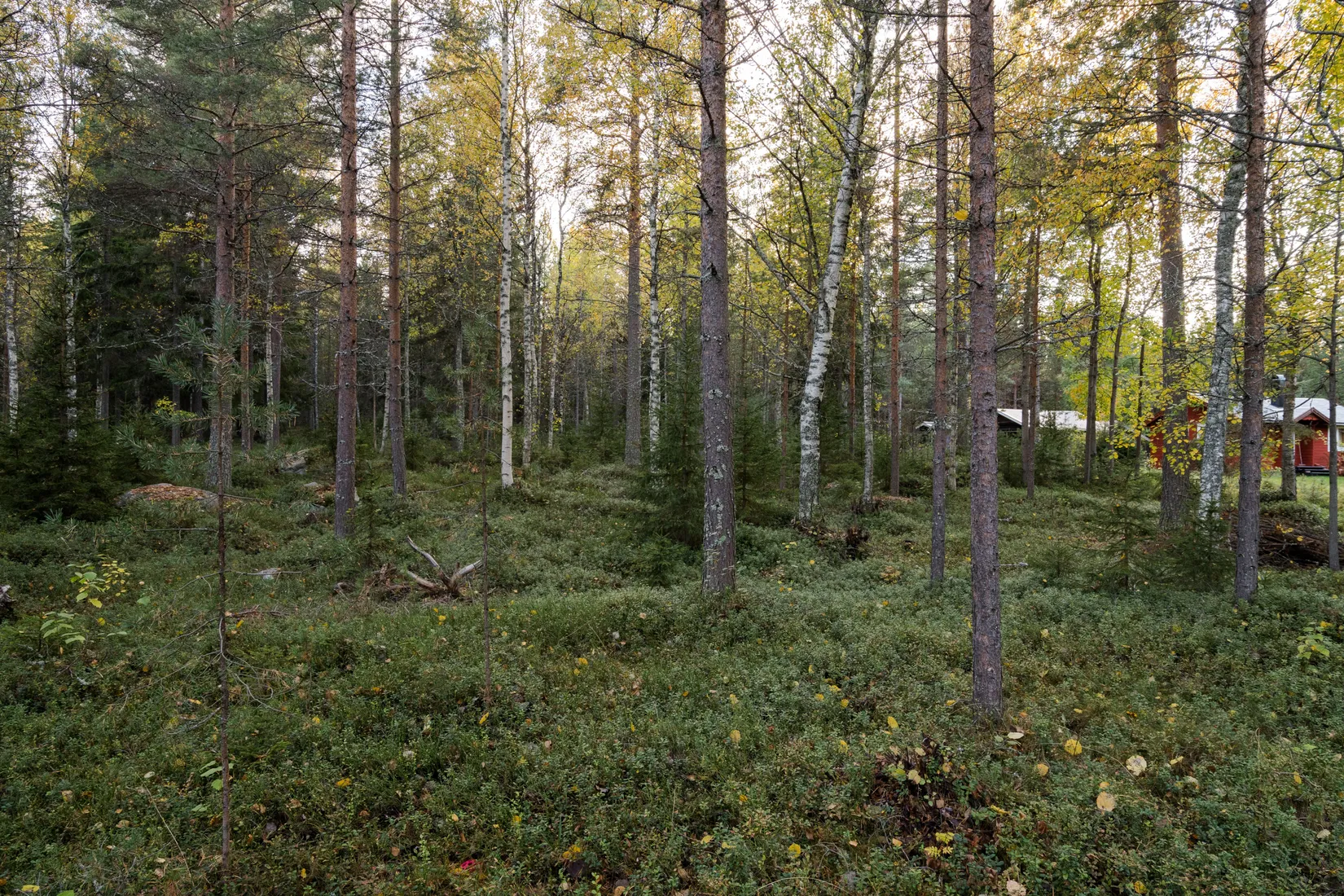 Tomt, Landskär 106, Landskär, Skellefteå