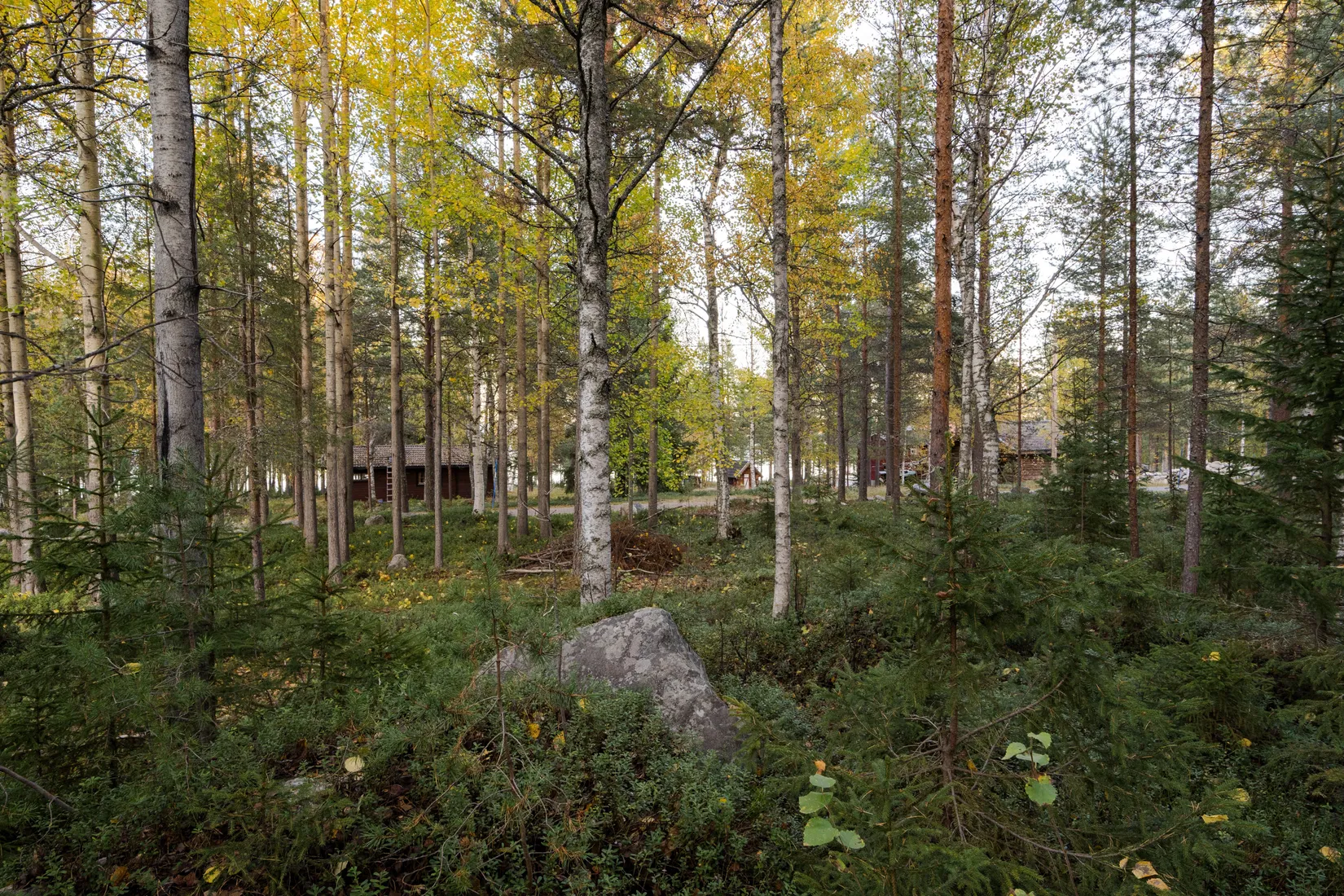 Tomt, Landskär 106, Landskär, Skellefteå