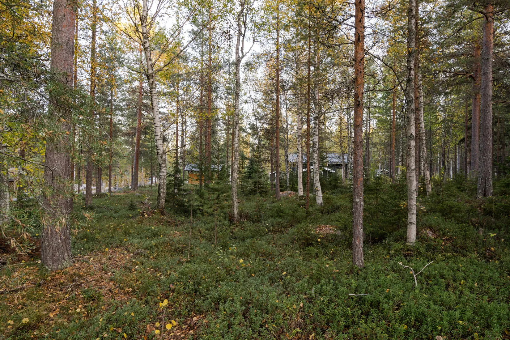 Tomt, Landskär 106, Landskär, Skellefteå