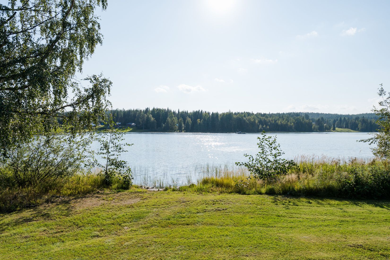 Gård/Skog, Hemvattnet 24, Hemvattnet, Skellefteå