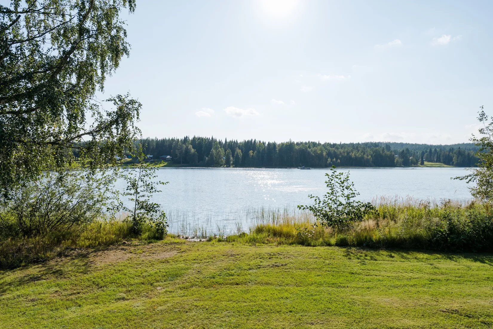 Gård/Skog, Hemvattnet 24, Hemvattnet, Skellefteå
