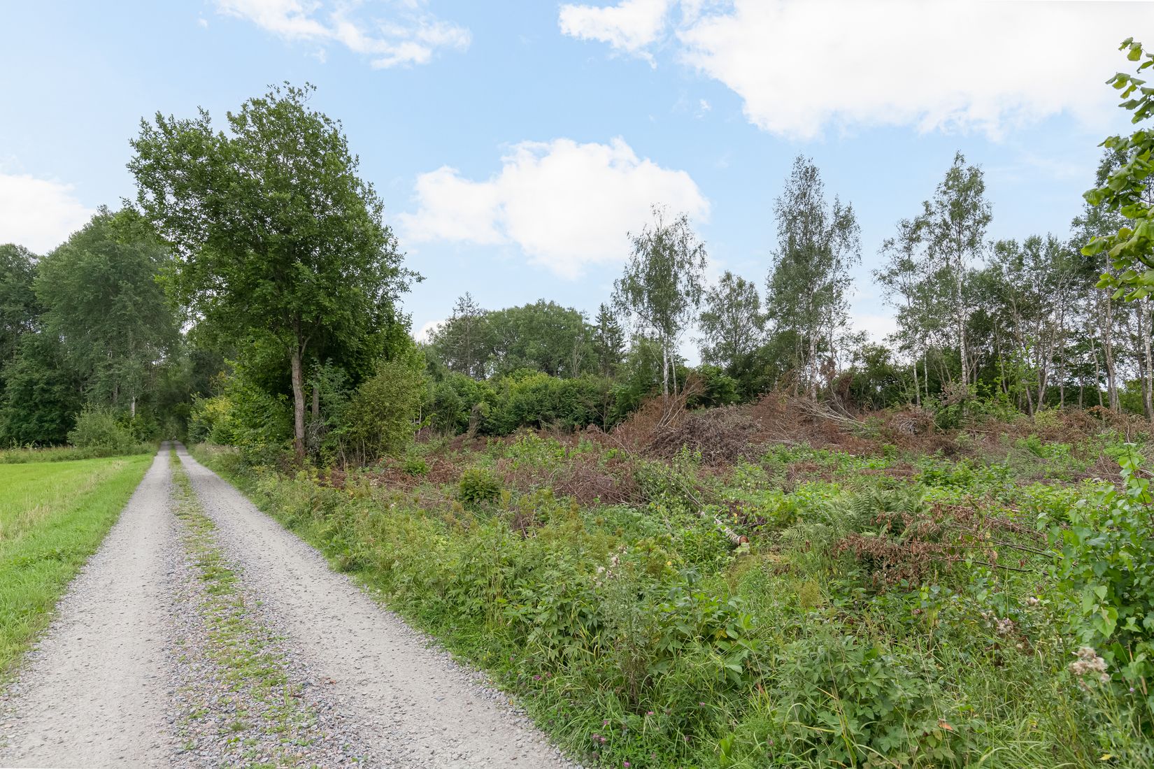 Tomt, Rosendal 346A, Skuttunge, Uppsala