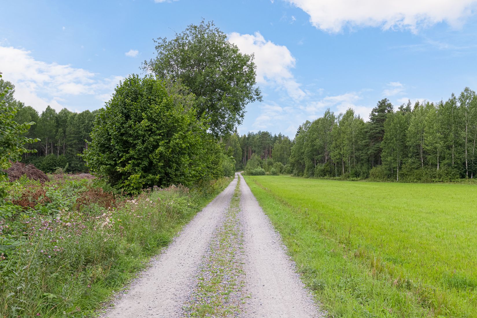 Tomt, Rosendal 346A, Skuttunge, Uppsala