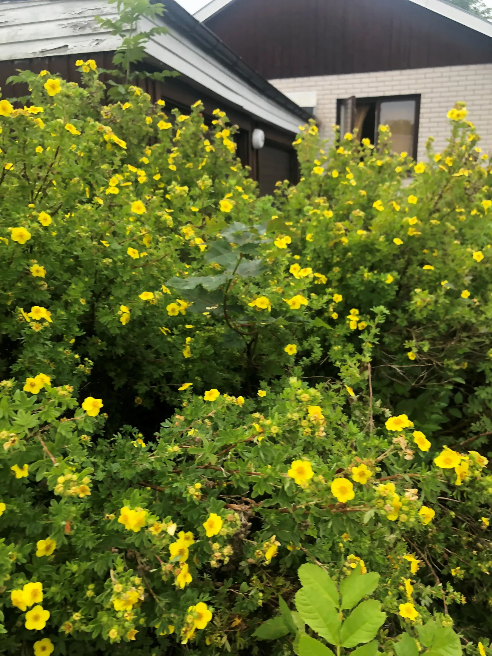 Villa, Hösträngsvägen 13, Valsätra, Uppsala