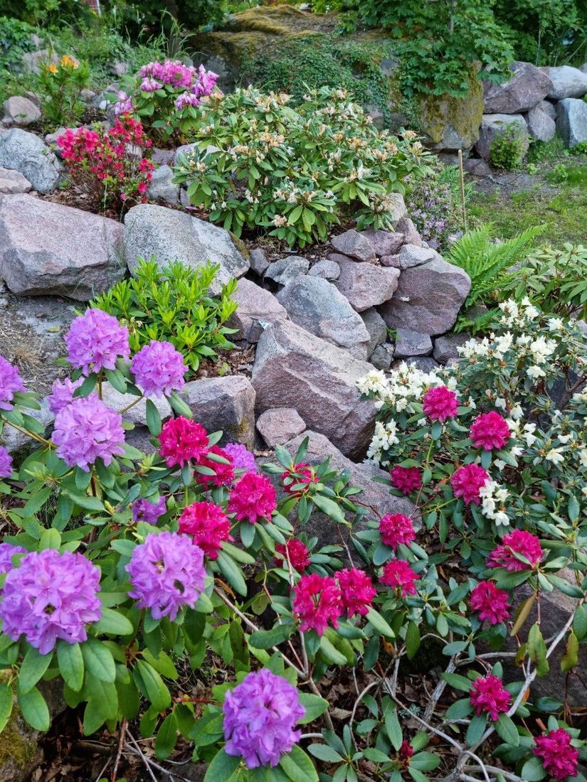 Villa, Skogsvägen 3, Mölstad, Mönsterås