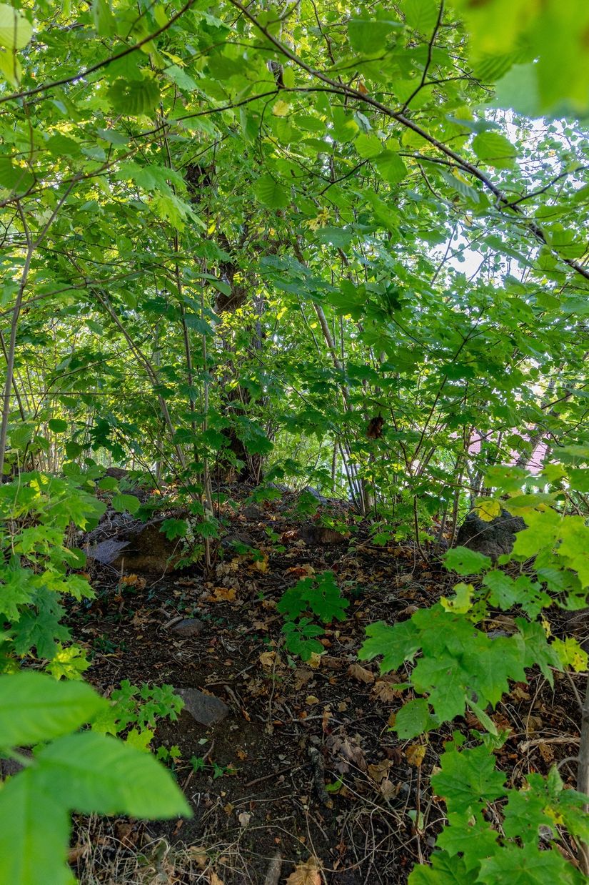 Villa, Skogsvägen 3, Mölstad, Mönsterås