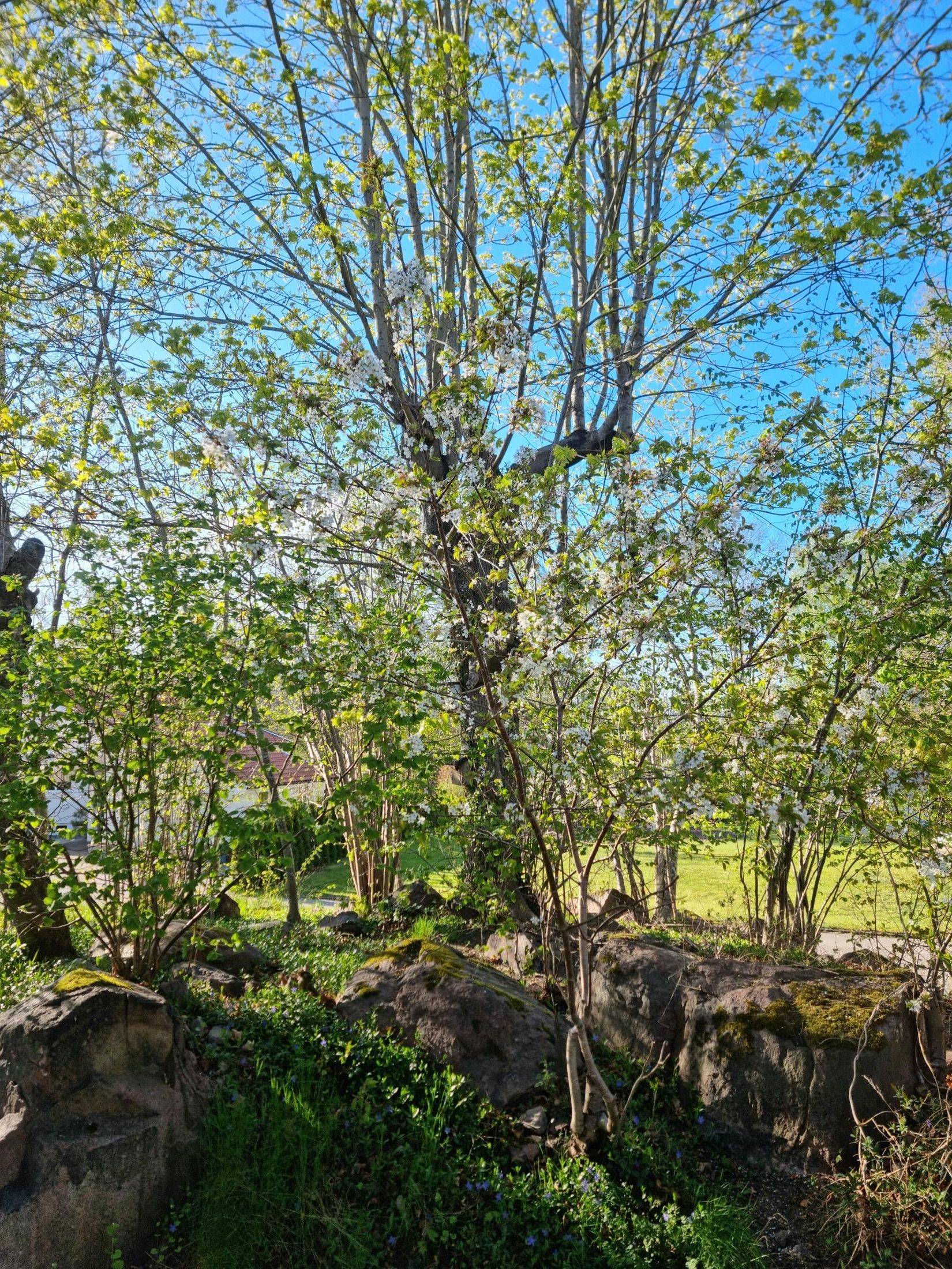 Villa, Skogsvägen 3, Mölstad, Mönsterås