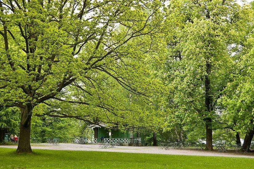 Tomt, Johan Olof Wallins väg 3, Karolinska, Solna