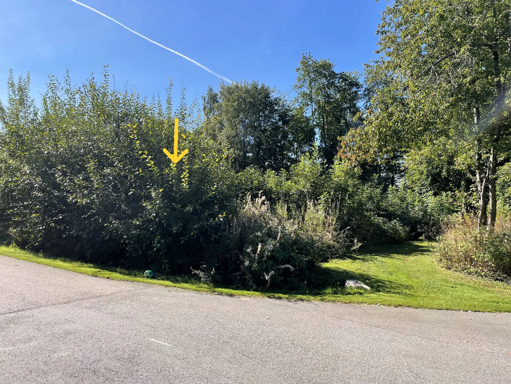Tomt, Vråkvägen 9, Ekeborg, Höör