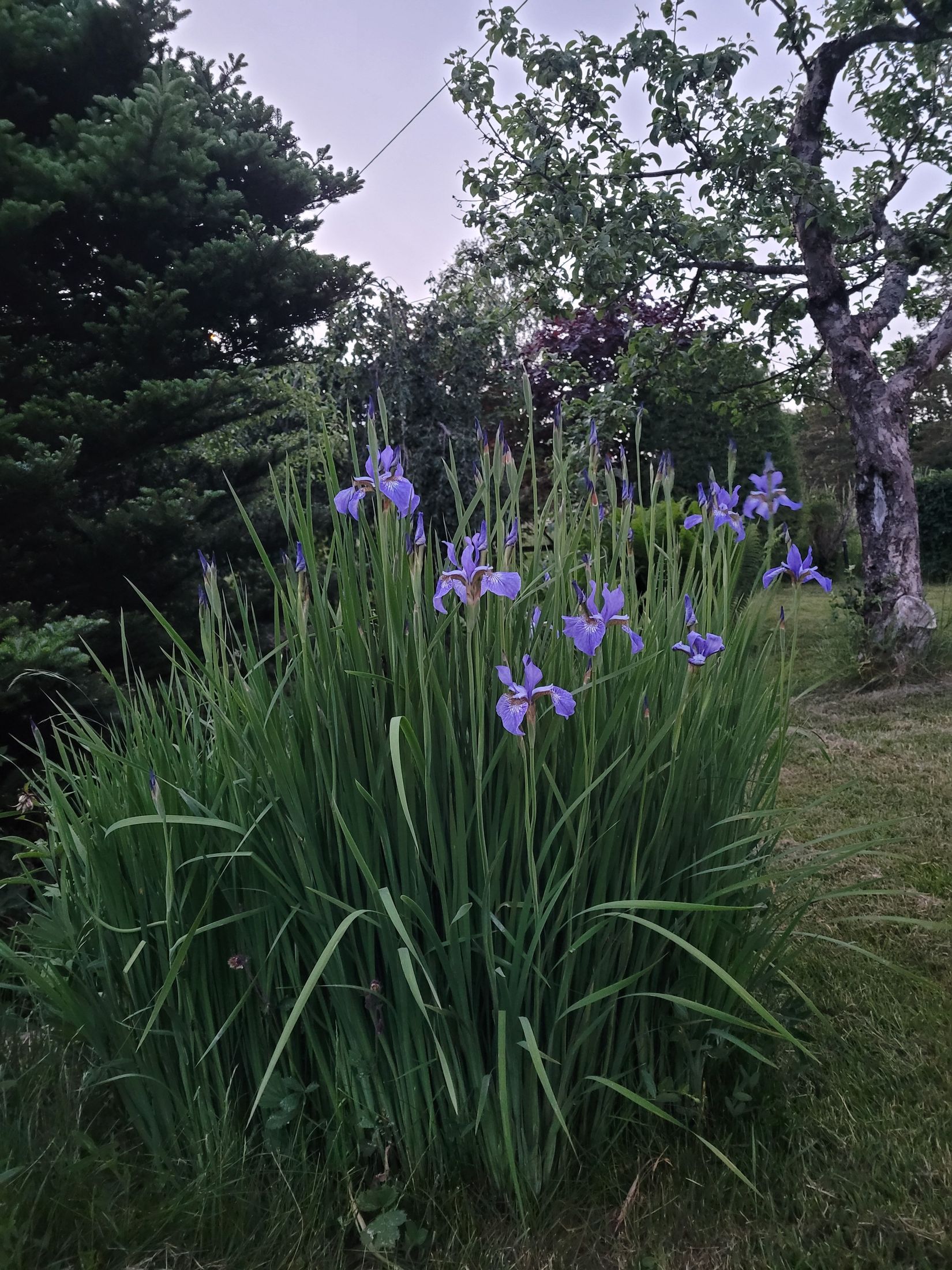 Villa, Sporrek 4, Sporrek, Oskarshamn