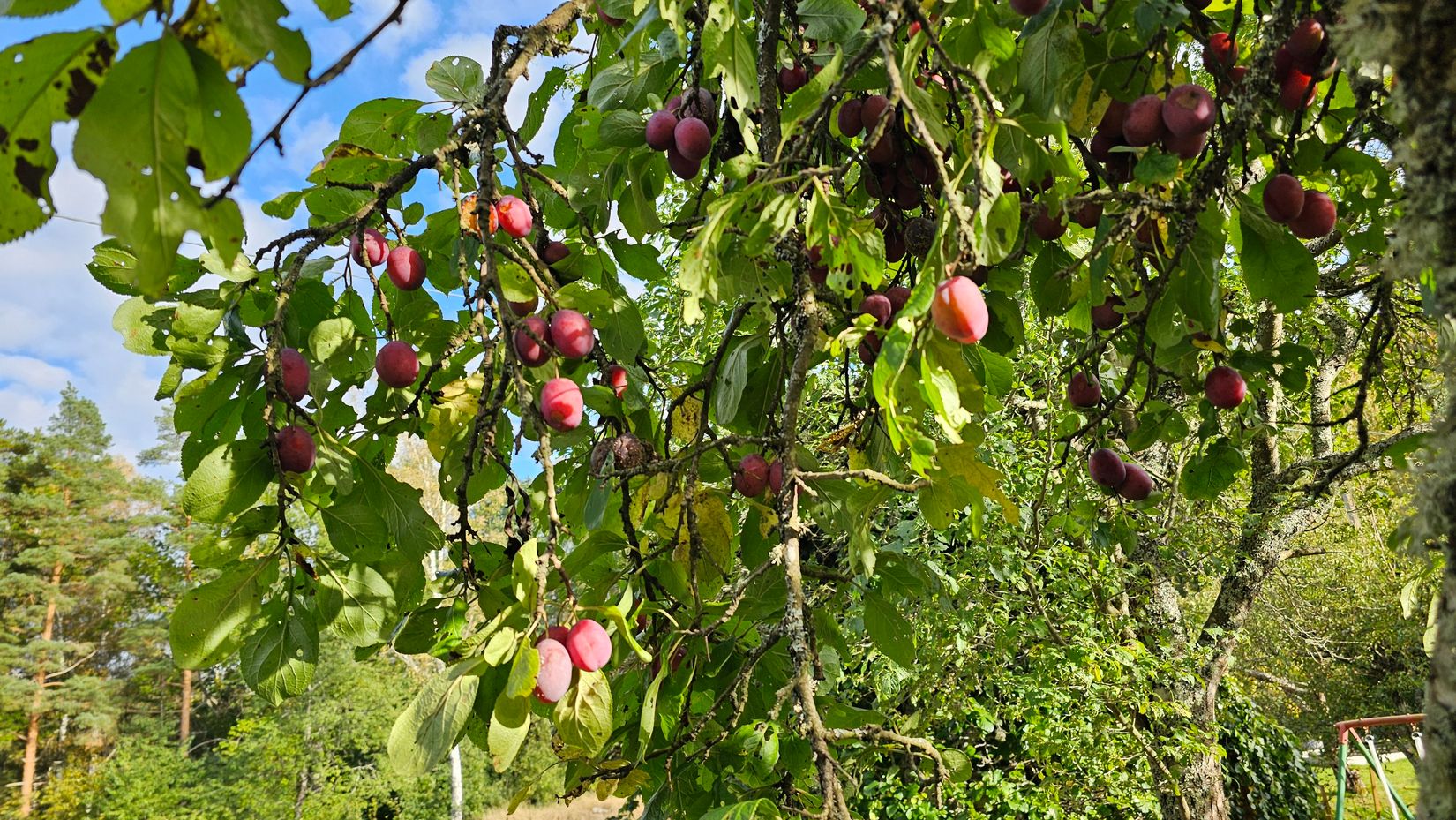 Villa, Sporrek 4, Sporrek, Oskarshamn