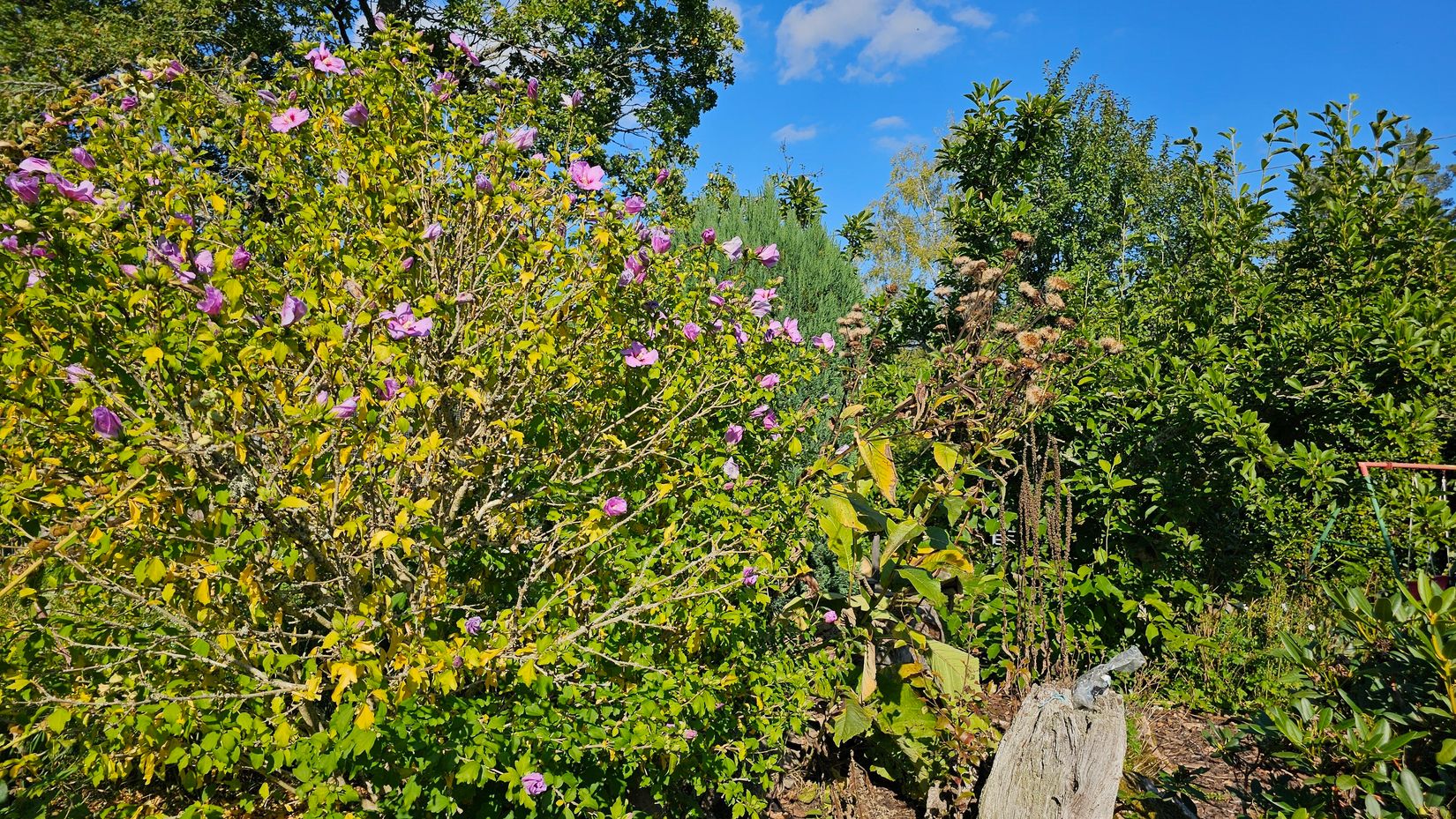 Villa, Sporrek 4, Sporrek, Oskarshamn