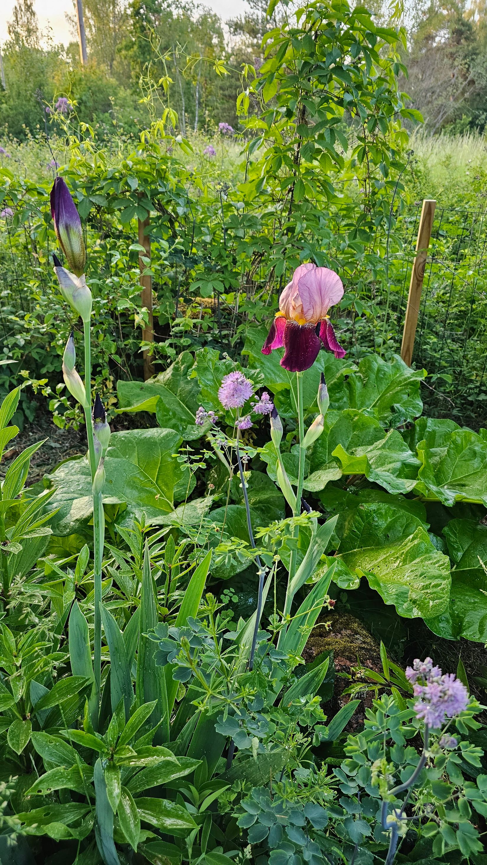 Villa, Sporrek 4, Sporrek, Oskarshamn