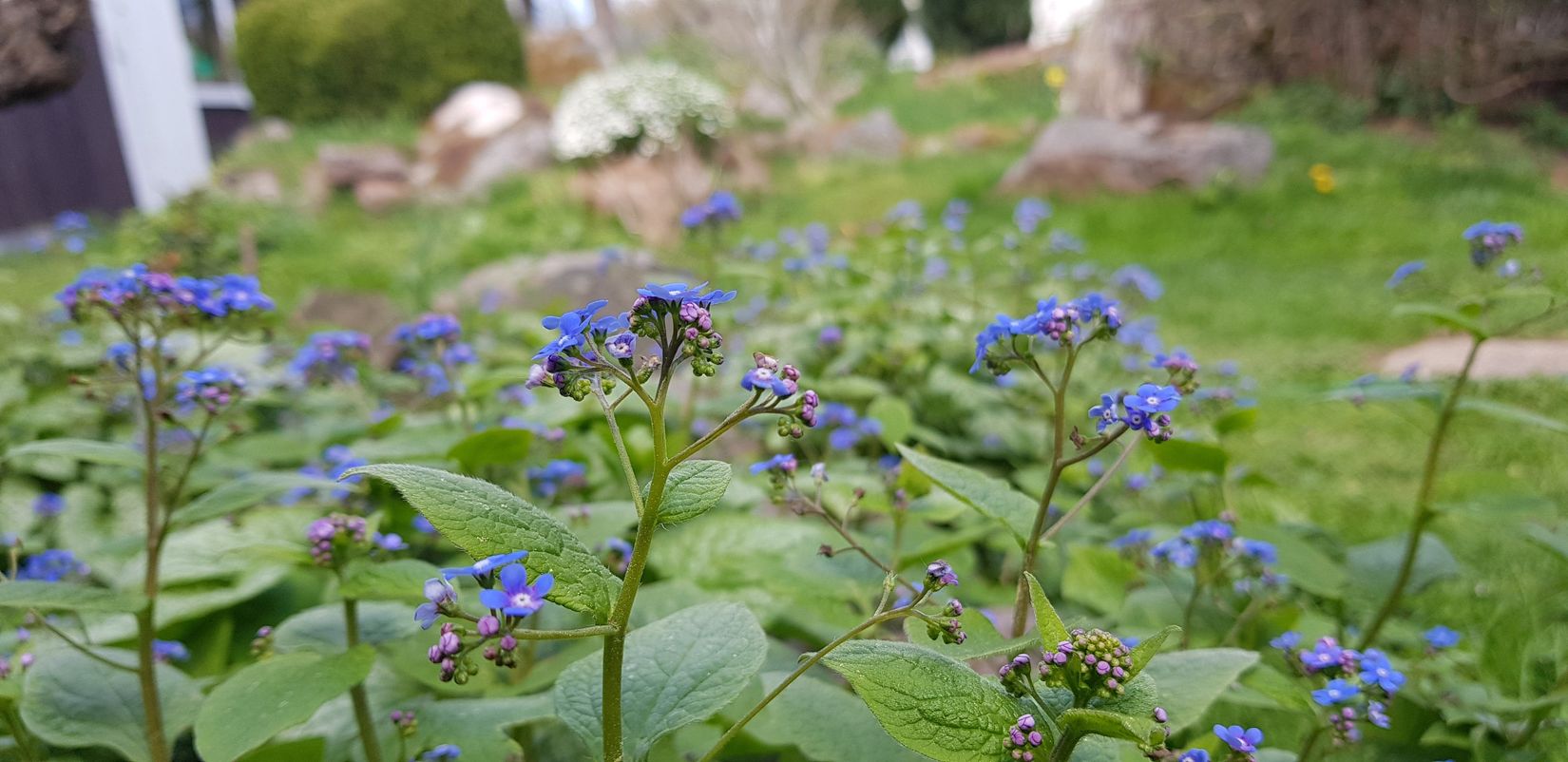 Villa, Sporrek 4, Sporrek, Oskarshamn