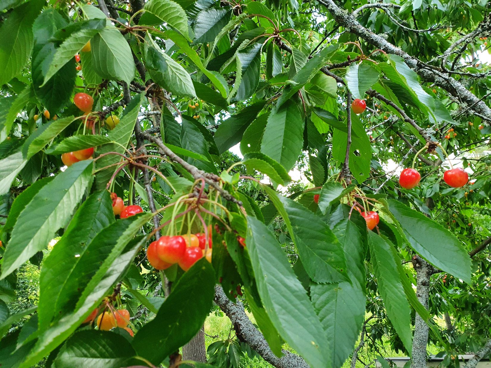 Villa, Sporrek 4, Sporrek, Oskarshamn