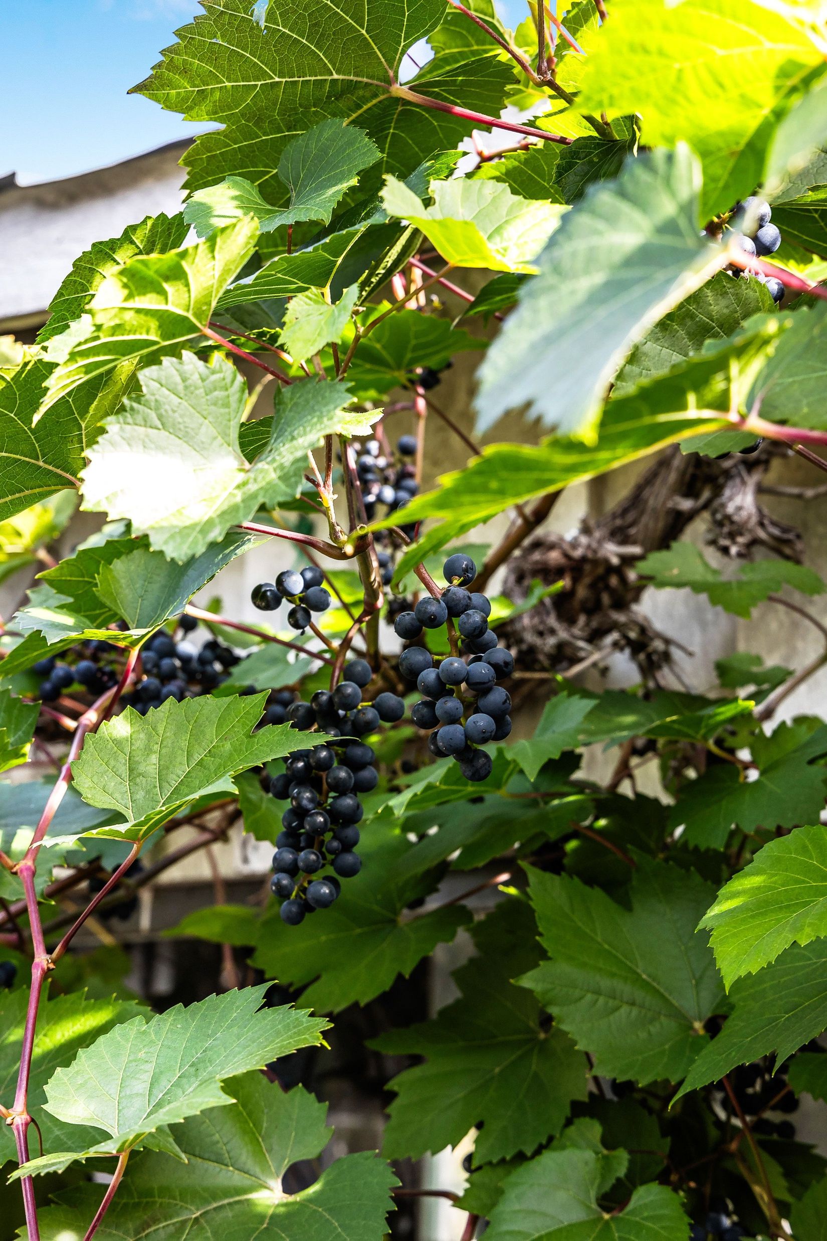 Villa, Sporrek 4, Sporrek, Oskarshamn