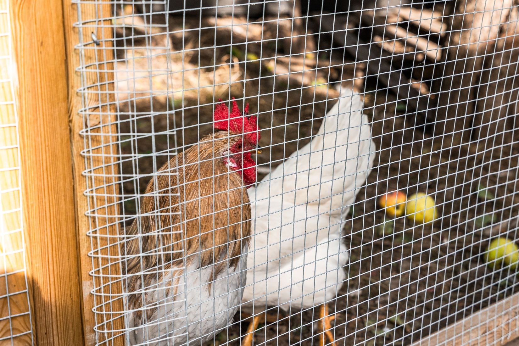 Villa, Sporrek 4, Sporrek, Oskarshamn