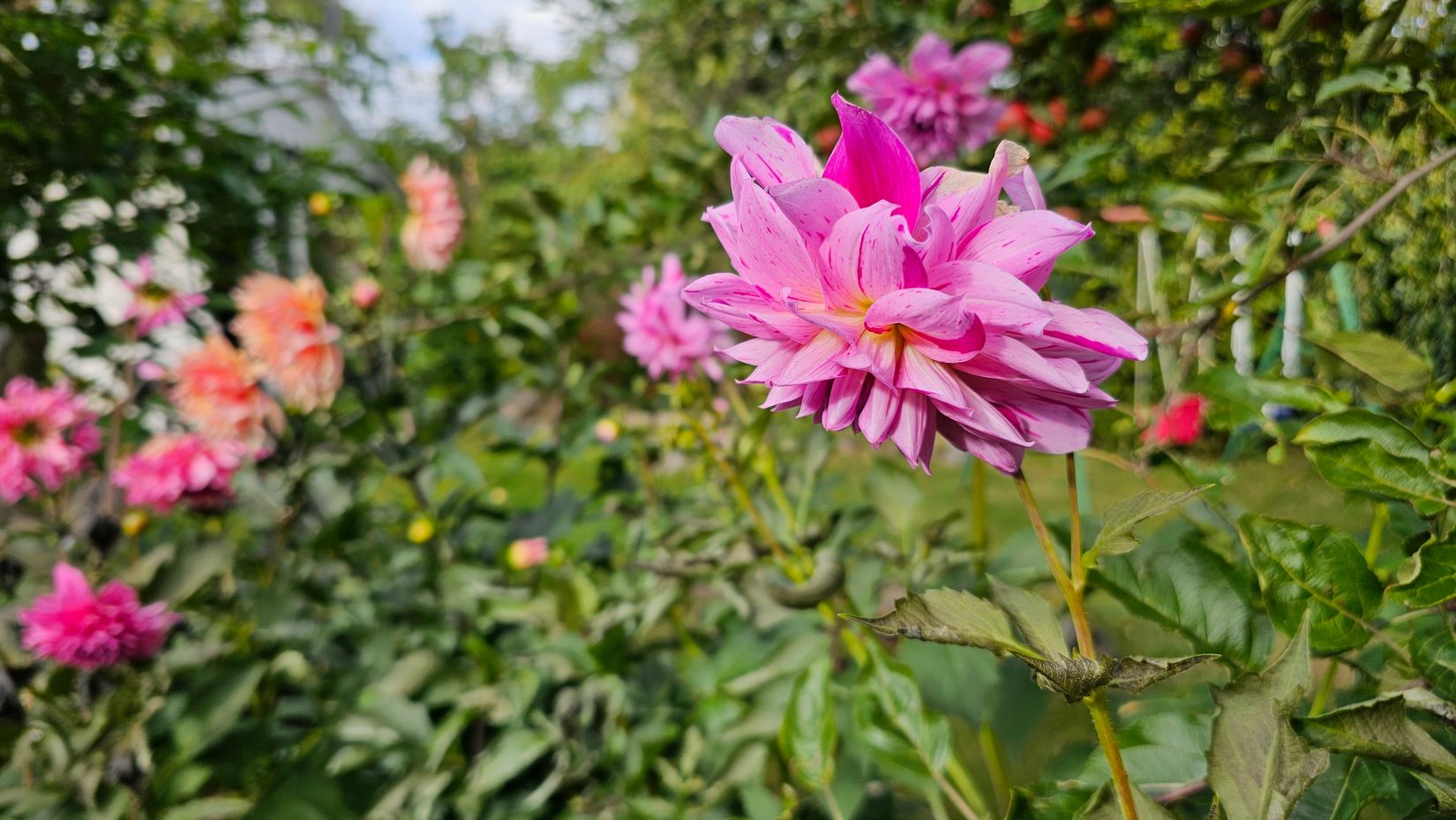 Villa, Sporrek 4, Sporrek, Oskarshamn