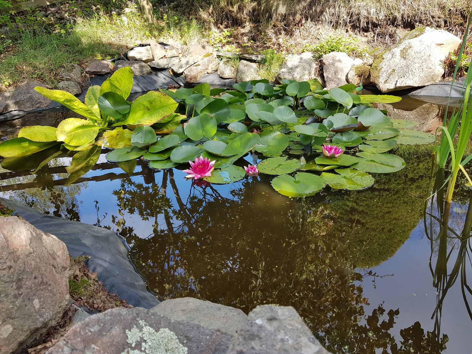 Villa, Sporrek 4, Sporrek, Oskarshamn