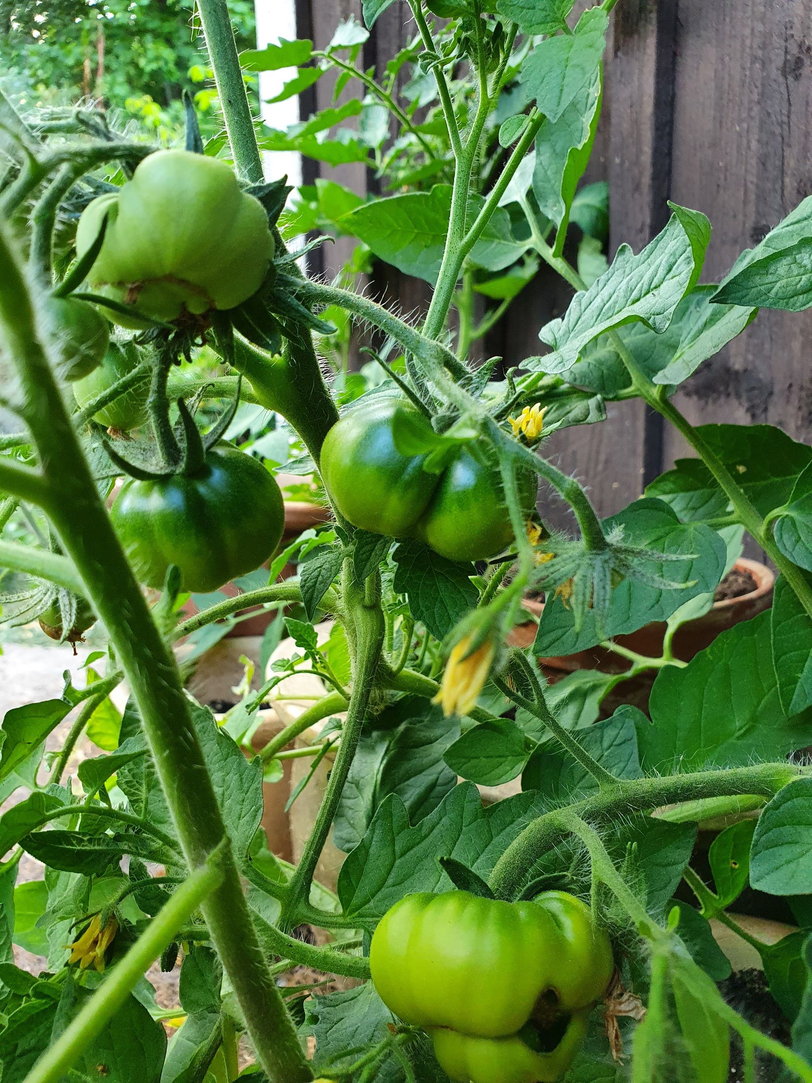 Villa, Sporrek 4, Sporrek, Oskarshamn