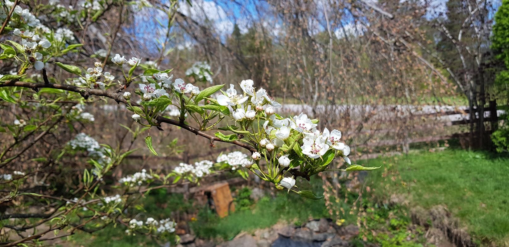 Villa, Sporrek 4, Sporrek, Oskarshamn