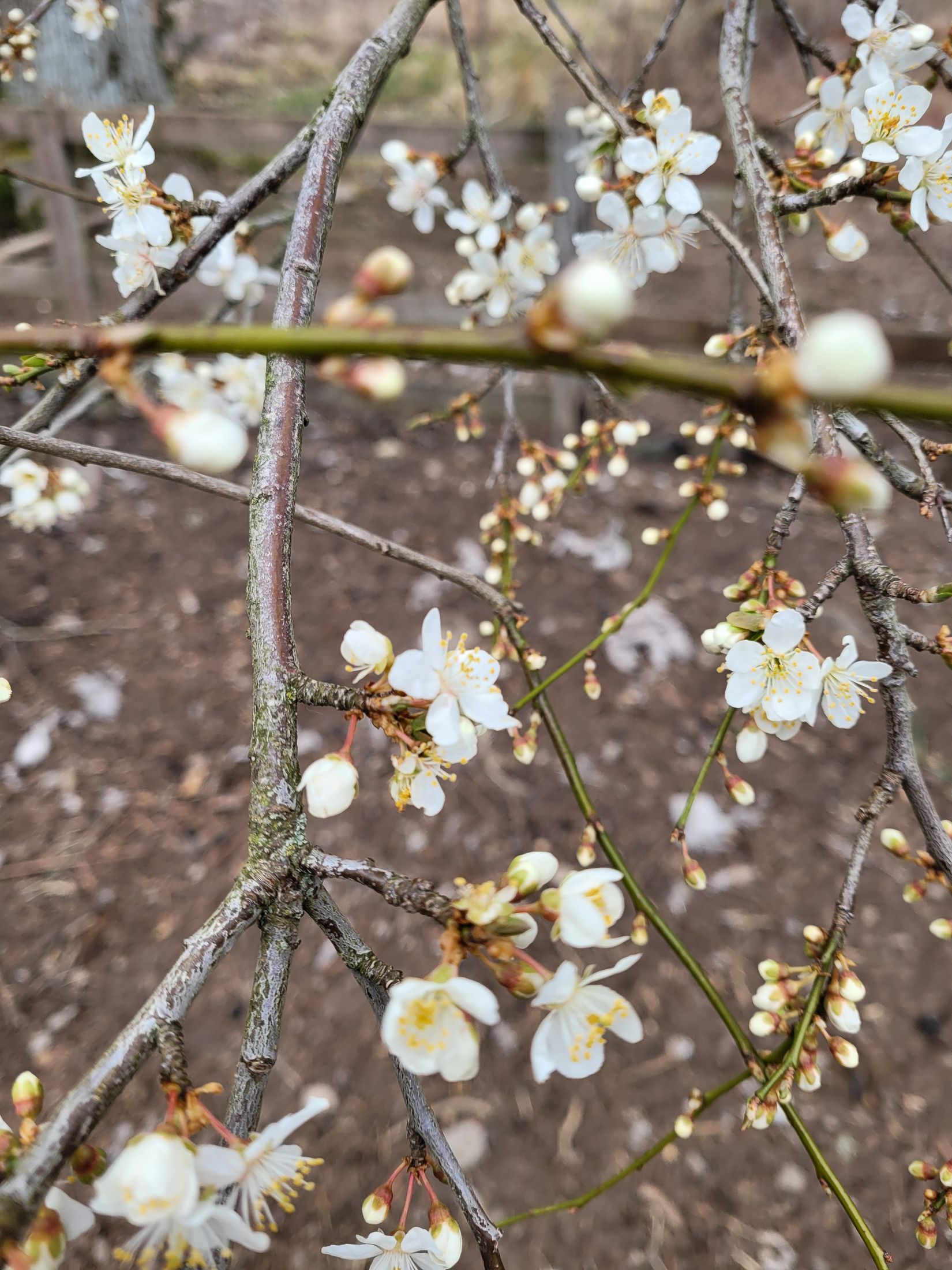 Villa, Sporrek 4, Sporrek, Oskarshamn