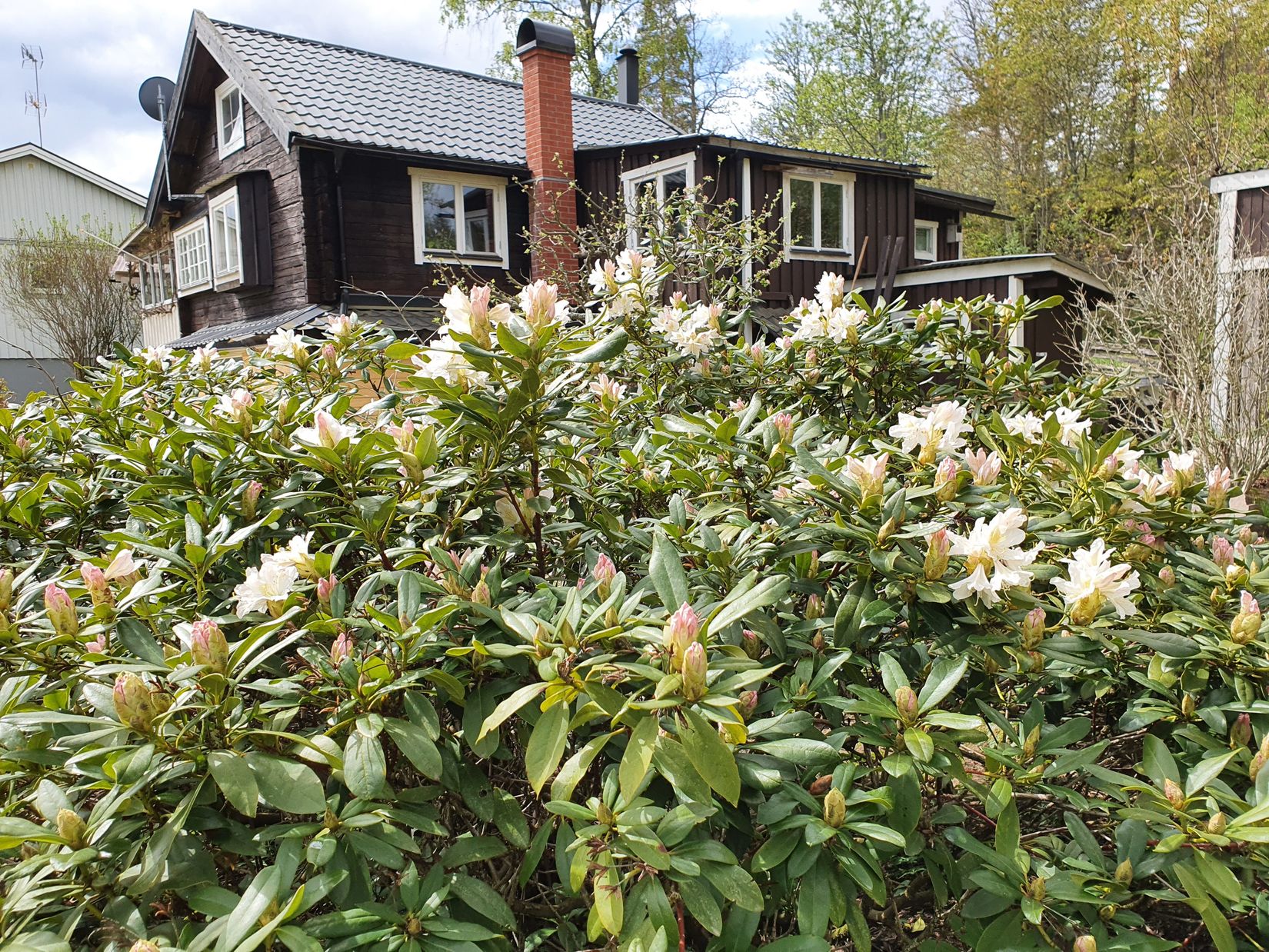 Villa, Sporrek 4, Sporrek, Oskarshamn