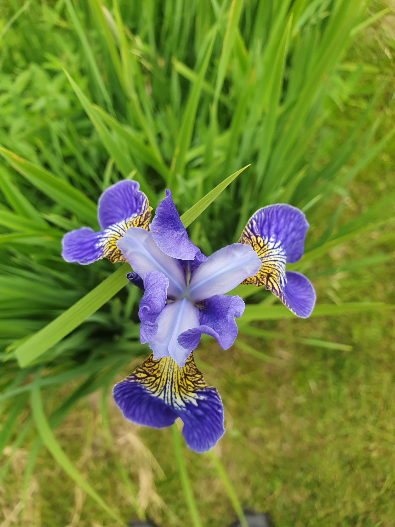 Villa, Sporrek 4, Sporrek, Oskarshamn