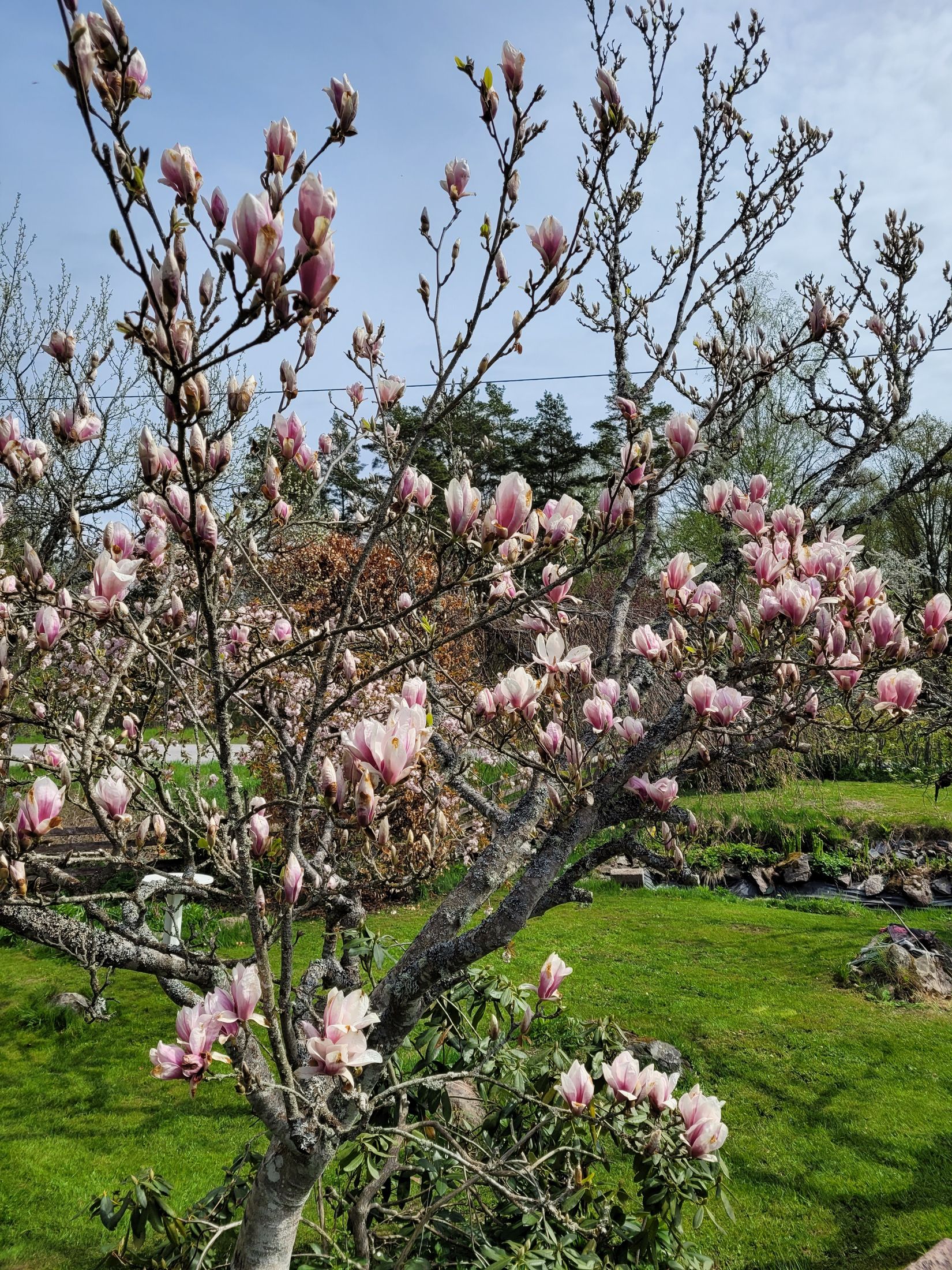 Villa, Sporrek 4, Sporrek, Oskarshamn