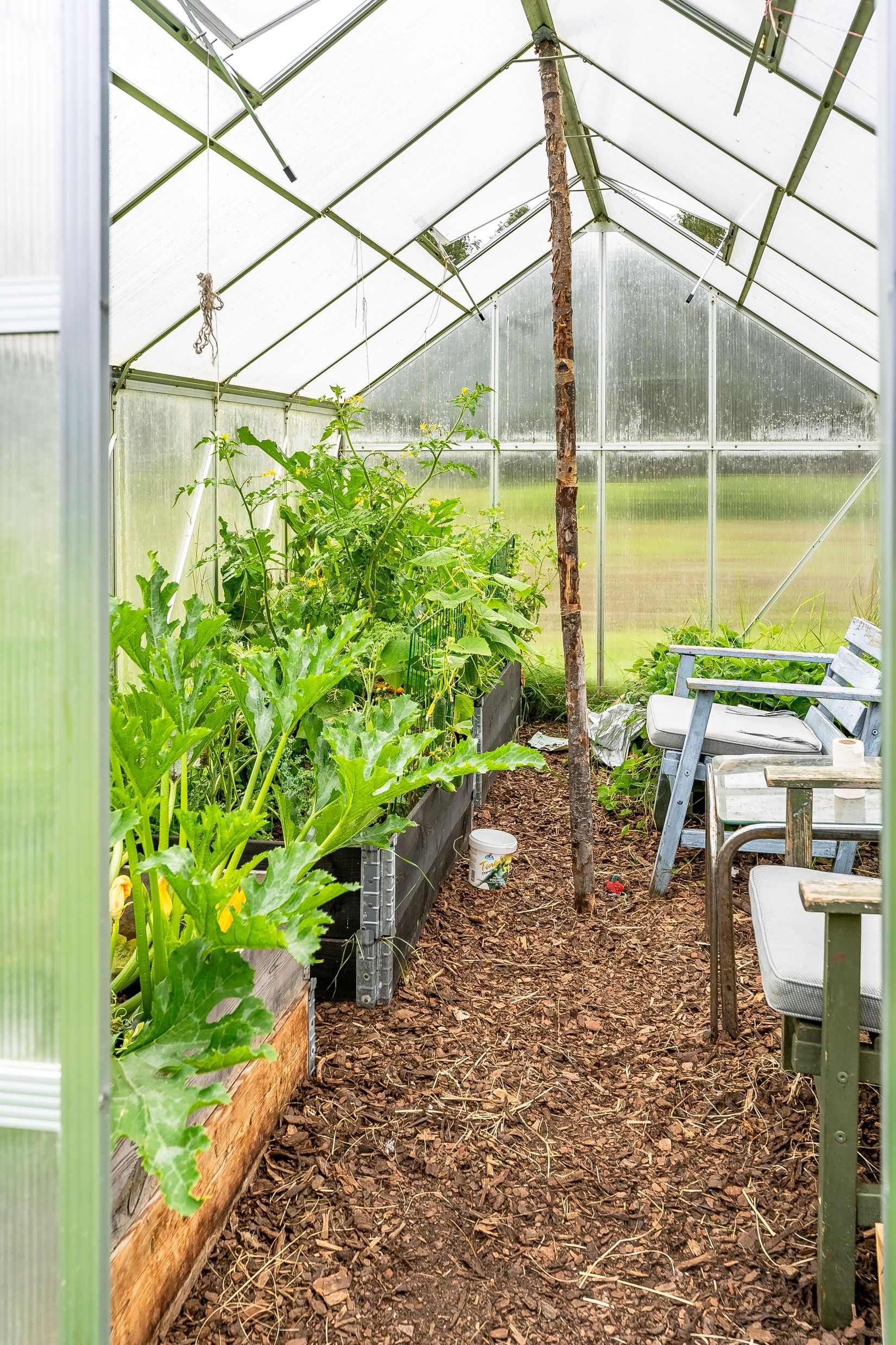 Gård/Skog, Sundsbrovägen 57 & 59, Ramsjö, Ljusdal