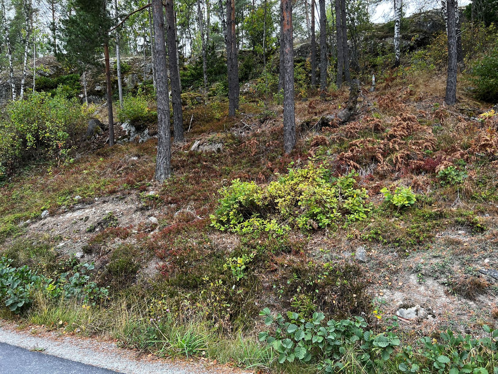 Tomt, Kviglöt 30, Ösmo, Nynäshamn