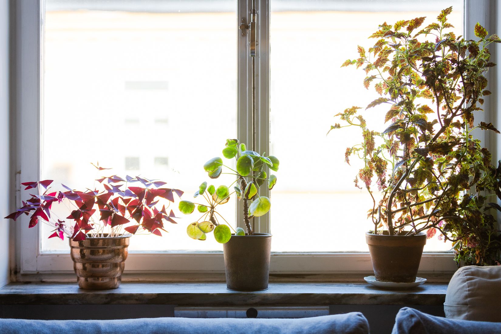 Bostadsrätt, Kocksgatan 40, SoFo, Stockholm