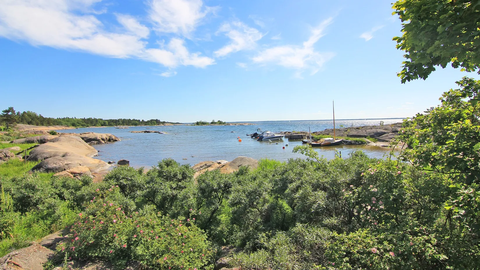 Tomt, Havtornsvägen 13 ( tomt nr 20 ), Gräsö, Östhammar