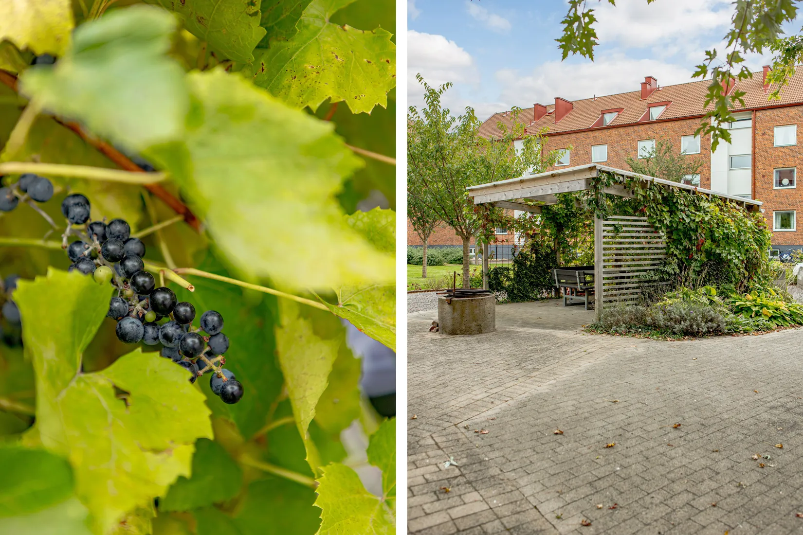 Bostadsrätt, Allévägen 30A, Herting, Falkenberg