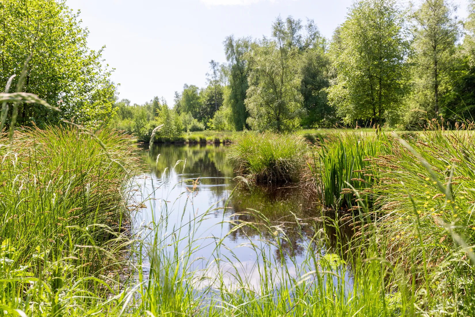 Tomt, Sjöberga 321, Hässleholm